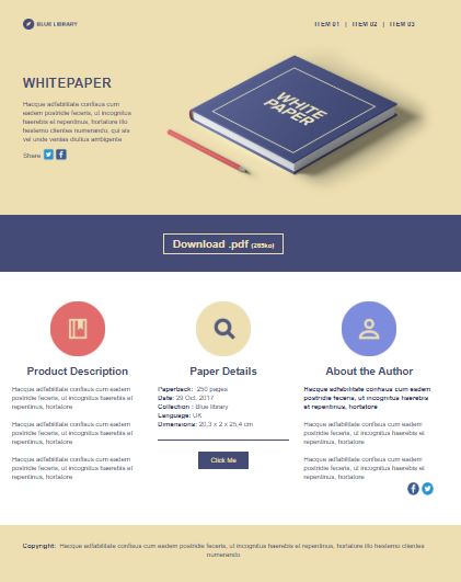 email landing page template