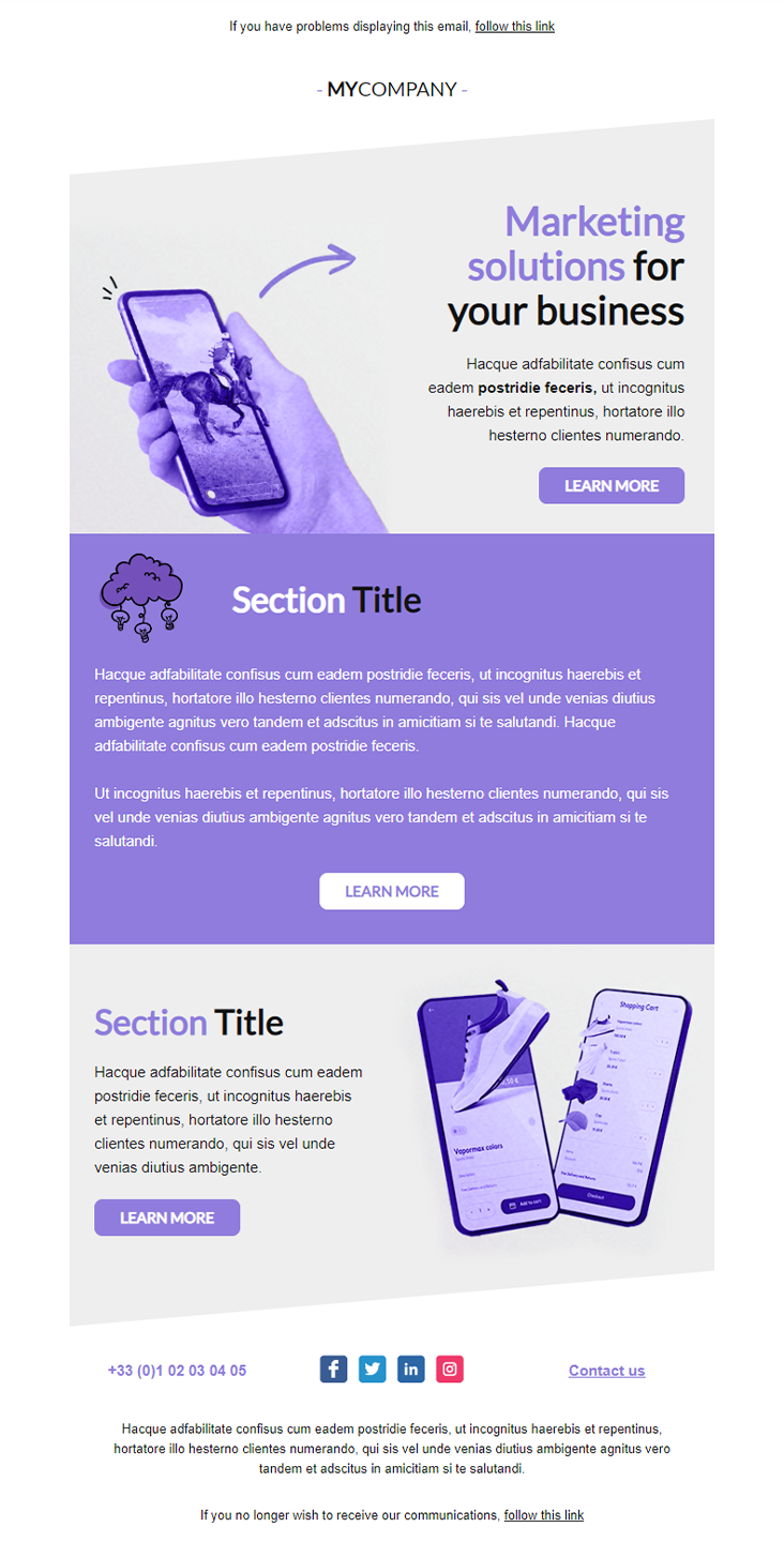 Template de newsletter business